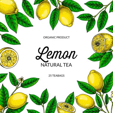 Kare limon arka planı. Çizim stilinde elle çizilmiş renkli vektör çizimi. Paketleme, logo, davet, tebrik kartları için tasarım