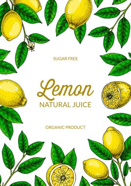 Dikey limon arka planı. Çizim stilinde elle çizilmiş renkli vektör çizimi. Paketleme, davet, tebrik kartları için tasarım