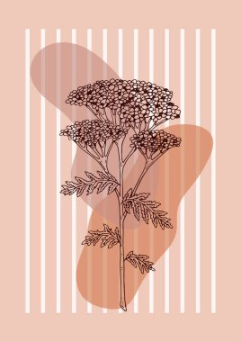 Modern floral aesthetic floral balance poster. Hand drawn vector illustration. Sketch wildflower clipart
