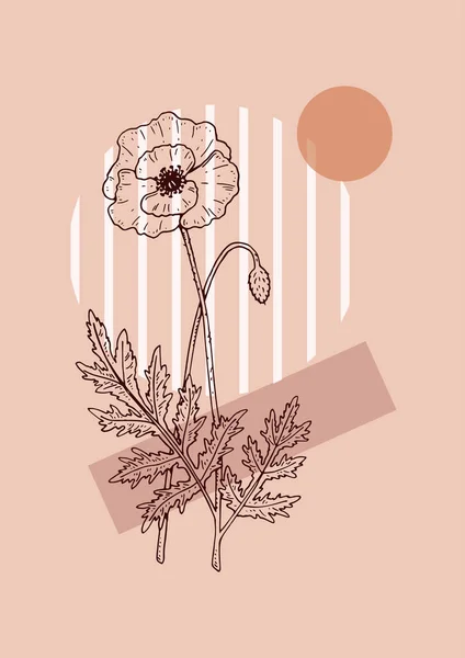 Moderne Florale Ästhetik Florale Balance Poster Handgezeichnete Vektorillustration Wildblumen Skizzieren — Stockvektor