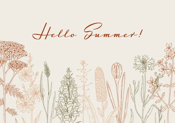 手描き夏の水平方向の野草デザイン スケッチスタイルでベクトルイラスト 草原の花の審美的な背景 — ストックベクタ