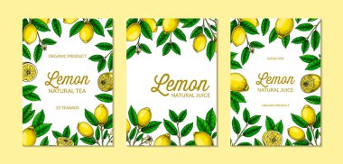 Dikey limon arka planı. Çizim stilinde elle çizilmiş renkli vektör çizimi. Paketleme, davet, tebrik kartları için tasarım