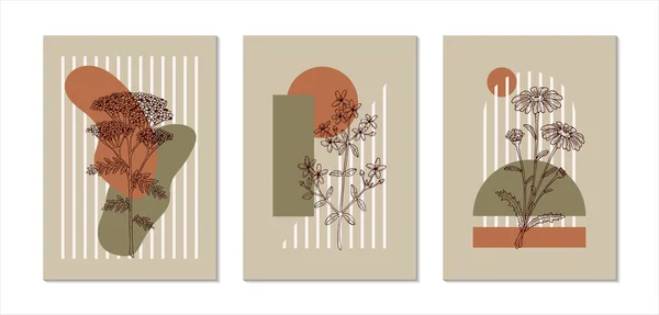Set Van Moderne Bloemen Esthetische Posters Met Veldbloemen Handgetekende Vectorillustratie — Stockvector