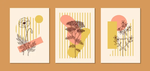 Set Van Moderne Bloemen Esthetische Posters Met Veldbloemen Handgetekende Vectorillustratie — Stockvector
