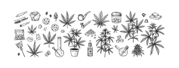 stock vector Cannabis set. Hand drawn weed plant, tools for smoking, marijuana cookies and sweets. Vector illustration in sketch stile. Engraving elements for packaging design