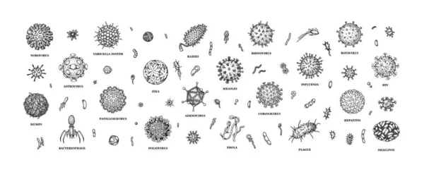 Soubor Rytých Virů Bakterií Izolovaných Bílém Pozadí Různé Typy Mikroskopických — Stockový vektor