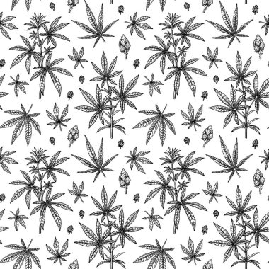 Kenevir yaprakları, dallar ve tomurcuklar pürüzsüz desen. Marihuana el yapımı klasik arka plan. Robot resim tarzında vektör illüstrasyonu. Ot oyma tasarımı