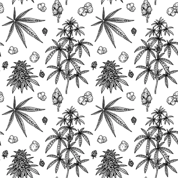 Cannabis Bladeren Takken Knoppen Naadloos Patroon Marihuana Met Hand Getekend — Stockvector