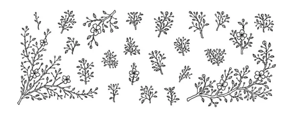 一套春天的樱花枝条 日本樱花手绘素描矢量图解 Lain艺术简约设计元素 杏花盛开 矢量图形