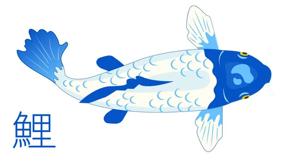 Ikan Mas Jepang Adalah Simbol Persahabatan Dan Cinta Tidak Heran - Stok Vektor