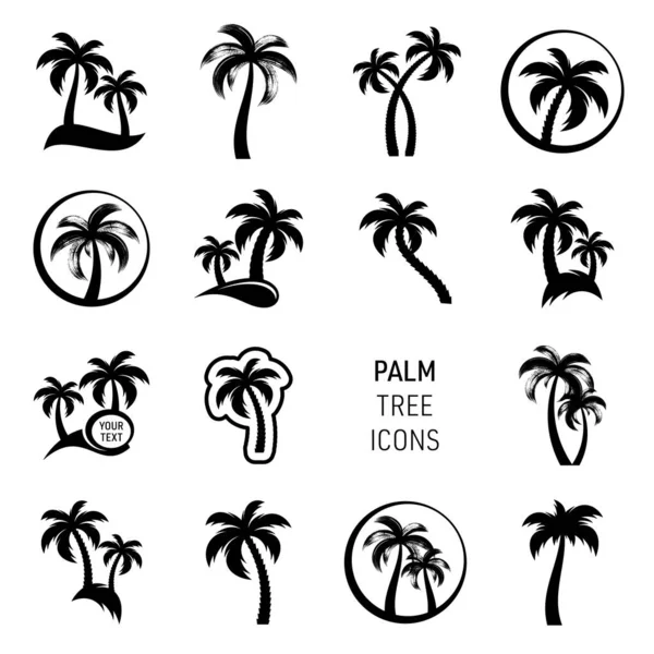 Ícones Palmeira Vetorial Preto Grande Coleção Criativa —  Vetores de Stock