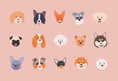 Çizgi film tarzında sevimli köpek yüzleri koleksiyonu. Chihuahua, pug, shiba inu ve diğer türlerin düz vektör çizimi