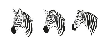 Vektör Zebra kafa çizimi. Siyah ve beyaz renkli Afrika zebraları koleksiyonu. Beyaz üzerinde izole edilmiş çizgili vahşi hayvan.