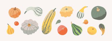 El çizimi sonbahar balkabağı çizimi. Sonbahar hasat kabağı farklı şekillerde. Şükran Günü ve Cadılar Bayramı süslemeleri kabak vektörü