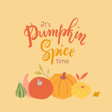 El yazması harflerle ve canlı balkabaklarıyla modern illüstrasyonla süslü bir sonbahar tasarımı. Balkabağı Baharat Zamanı. Vektör