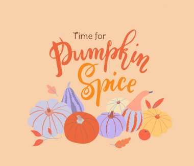 Balkabağı Baharatı zamanı. Güzel el yazısı ve renkli balkabakları vektör içinde sonbahar yaprakları. Mevsimlik markalaşma ve dekorasyon için mükemmel.