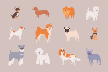 Küçük köpek, taşıyıcı olarak koleksiyon üretir. Pug, Shiba Inu, Pomeranian ve tasarımlarınız için küçük şirin köpek yavrularının modern düz çizimleri.