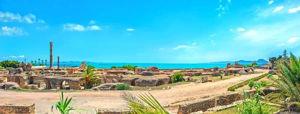 Vista Panorâmica Das Ruínas Antigas Com Banhos Termais Cartago Tunis — Fotografia de Stock