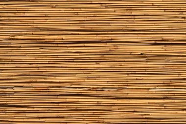 Bambu arka planı. Dekoratif duvarda ahşap desenli bambu bitkisi. Yüksek kalite fotoğraf