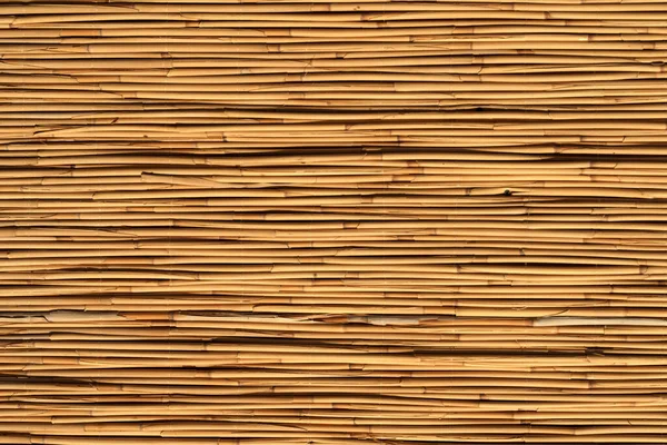 Bamboe Achtergrond Houten Textuur Bamboe Plant Decoratieve Muur Hoge Kwaliteit — Stockfoto