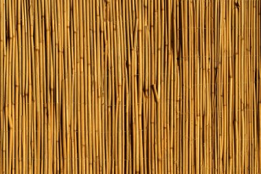 Bambu arka planı. Dekoratif duvarda ahşap desenli bambu bitkisi. Yüksek kalite fotoğraf