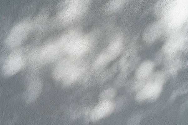 Shadow Overlay Effect Photo Shadows Tree Leaves Tropical Branches White — Stock Photo, Image