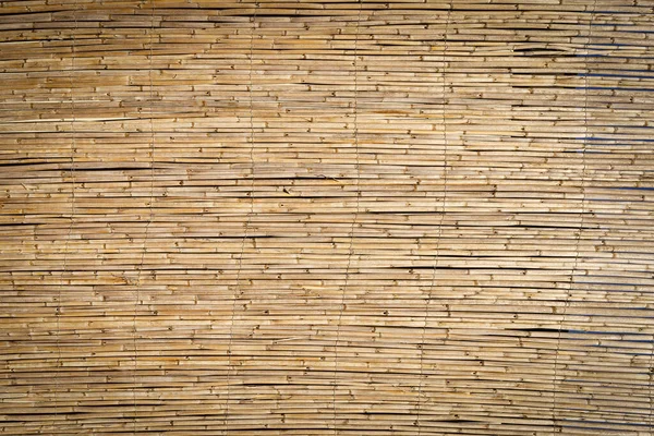 Bamboo background. Wooden texture bamboo plant on the decorative wall. High quality photo