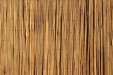Bambu arka planı. Dekoratif duvarda ahşap desenli bambu bitkisi. Yüksek kalite fotoğraf