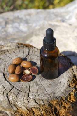 Argan tohumları ve yağları doğanın ahşap arka planında. Doğa için organik argan yağı cilt, saç ve masaj için kozmetik. Fas doğal biyo-güzellik ürünleri. Yüksek kalite fotoğraf