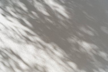 Fotoğraf için gölge örtüsü efekti. Ağaç yapraklarının gölgeleri ve güneş ışığında beyaz bir duvarda tropikal dallar. Yüksek kalite fotoğraf