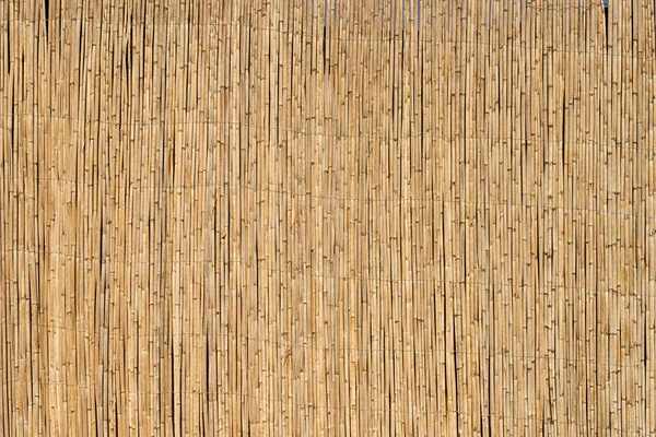 Bamboo background. Wooden texture bamboo plant on the decorative wall. High quality photo