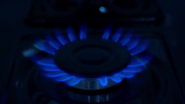 Gas Blue Stove Flame Use Propane Butane European Union Kitchen — 图库视频影像