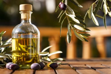 Zeytin ağacı dallı zeytin yağı. Doğal besin için doğal yağ ya da doğal malzemelerden kozmetik. Sağlıklı yemek, kozmetik konsepti. Yüksek kalite fotoğraf