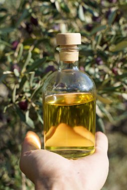 Zeytin ağacı dallı zeytin yağı. Doğal besin için doğal yağ ya da doğal malzemelerden kozmetik. Sağlıklı yemek, kozmetik konsepti. Yüksek kalite fotoğraf