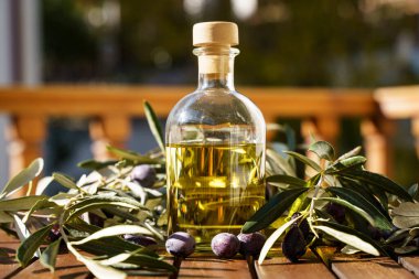 Zeytin ağacı dallı zeytin yağı. Doğal besin için doğal yağ ya da doğal malzemelerden kozmetik. Sağlıklı yemek, kozmetik konsepti. Yüksek kalite fotoğraf