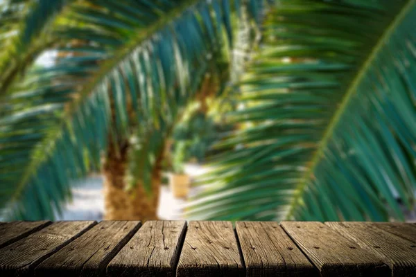 Djungelbordsbakgrund Rustikt Träbord Mot Bakgrund Tropiska Växter Palmer Och Djungel — Stockfoto
