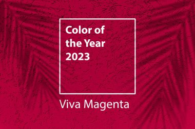 2023 yılının rengi. Kırmızı mor arka planda gölgeli palmiye ile Magenta yeni trend rengi. Yüksek kalite fotoğraf