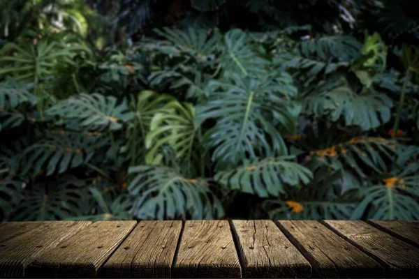 Jungle Table Background Rustic Wooden Table Backdrop Tropical Plants Palms — Foto Stock