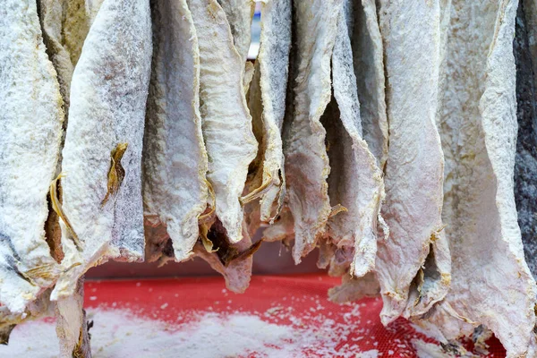 Salted dried cod bacalao on the counter of a fish store. Traditional Portuguese and Scandinavian sea fish dish. High quality photo