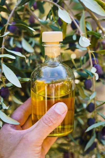 Olive oil with olive tree branch background. Natural oil for food or cosmetics from natural ingredients. Healthy food, cosmetics concept. High quality photo