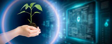 Bitki yetiştirmek için tarım teknolojileri ve doğanın biyoloji ve kimyası alanında bilimsel araştırmalar. Bir çiftçinin ellerinde yaşayan yeşil bir filiz. Organik dijital arkaplan. Yüksek