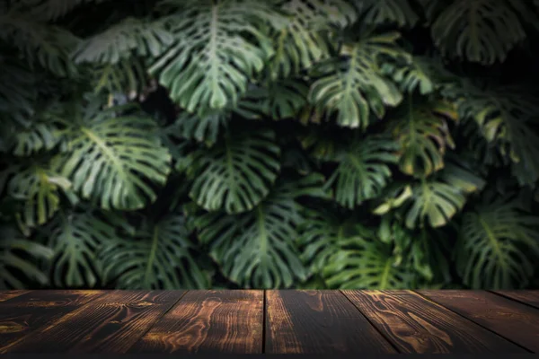 Jungle table background. Rustic wooden table against the backdrop of tropical plants, palms and jungle. . High quality photo