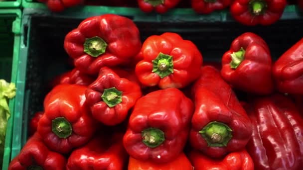 Vegetables Supermarket Counter Sale High Quality Fullhd Footage — Video