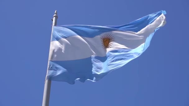 ブエノスアイレスの青い空にアルゼンチンの旗 アルゼンチンの国旗は青と白 高品質のフルHd映像 — ストック動画