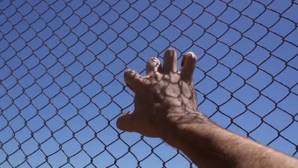 Рука Железном Заборе Против Неба Заключение Граница Эмиграция Отчаяние Концепция — стоковое видео
