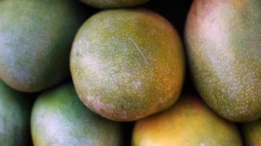 Mango in the market. Exotic fruit mango harvest. High quality FullHD footage