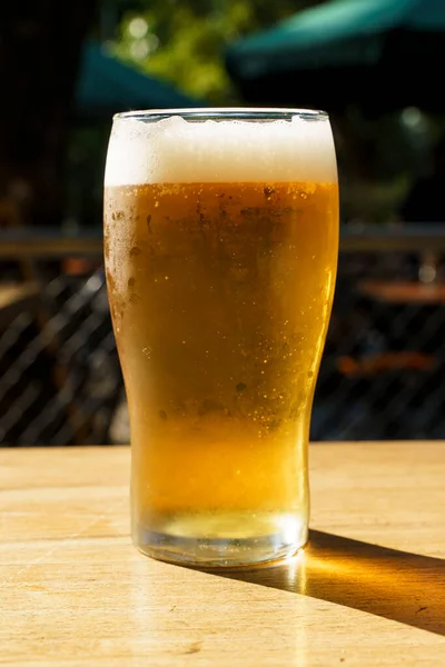 A glass of beer on the table of a beer bar. Amber Lager alcoholic drink. High quality photo