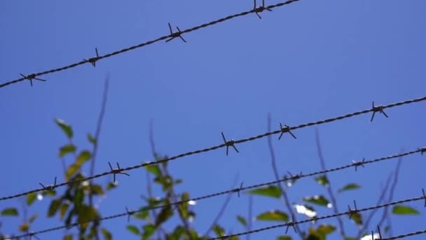 Gökyüzüne Karşı Dikenli Tellerle Suç Hapis Sınır Hapishane Konsepti Yüksek — Stok video