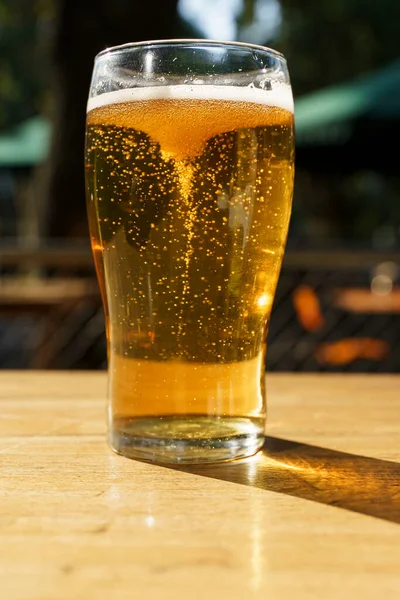 A glass of beer on the table of a beer bar. Amber Lager alcoholic drink. High quality photo