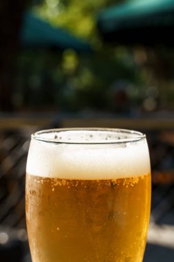 Bira barının masasında bir bardak bira. Amber Lager alkollü içki. Yüksek kalite fotoğraf